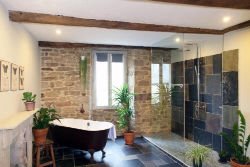 La salle de bains est pourvue d'une baignoire et de plantes. dans l'établissement Town House In Quaint Breton Village, à Guéméné-sur-Scorff