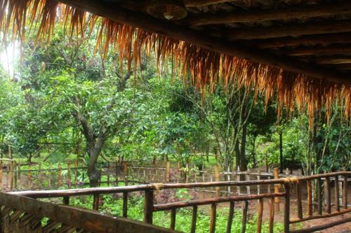 a view of a forest with a fence and trees at HeavensAway in Marayoor