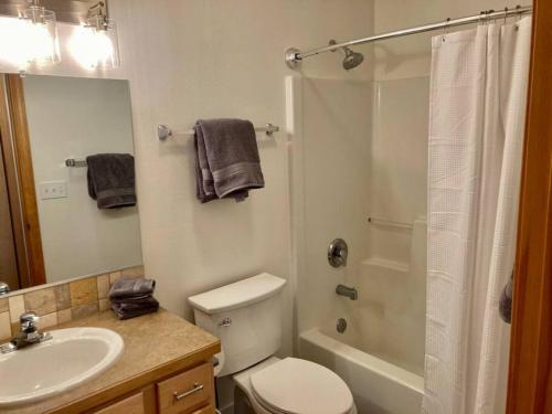 a bathroom with a toilet and a shower and a sink at Moose Ridge Retreat in Gallatin Gateway