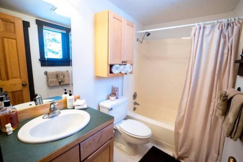 a bathroom with a sink and a toilet and a shower at Big Sky Bungalow in Big Sky