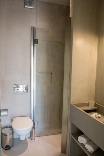 a bathroom with a toilet and a shower at Oikies High Living Complex in Syvota