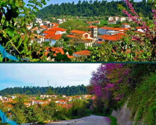 two pictures of a town with buildings and trees at Cozy Stone House Petrino in Kriopigi