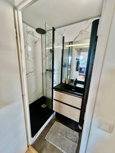 une salle de bain avec un lavabo et un miroir dans l'établissement Appartement pleine vue mer à 50m de la plage, à Villers-sur-Mer