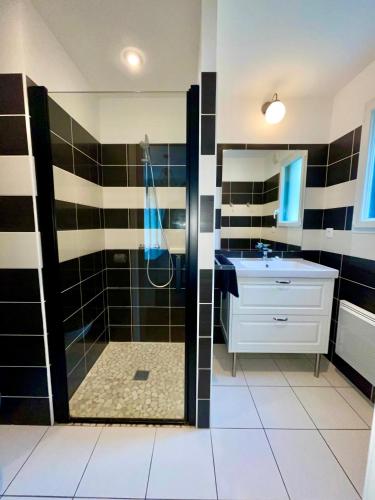 une salle de bain avec douche et lavabo dans l'établissement Gite du bout du monde, à Landévennec