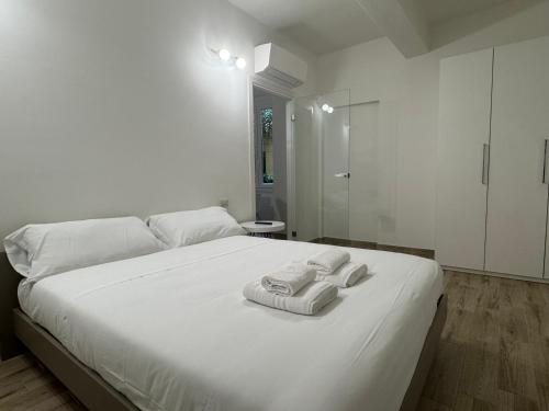 Moscova-Arena area, central Milan