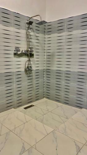 a bathroom with a shower and a marble floor at El Hady Guesthouse in Luxor