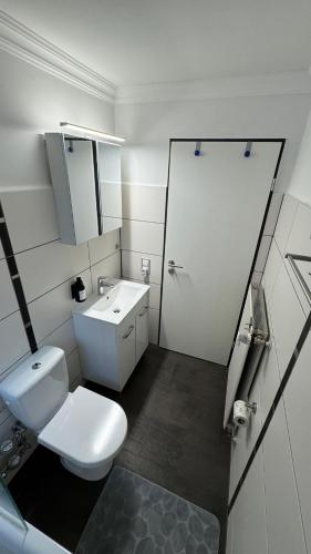 a bathroom with a toilet and a sink and a mirror at Teufelsberg Panorama mit Sauna und Bergblick in Langelsheim