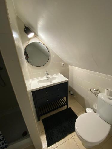 une salle de bain avec toilettes, lavabo et miroir dans l'établissement Studio centre ville Rodez, à Rodez