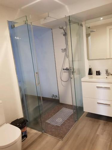 une salle de bain avec une douche avec des toilettes et un lavabo dans l'établissement Appartement charmant à Sare avec vue sur la montagne, à Sare