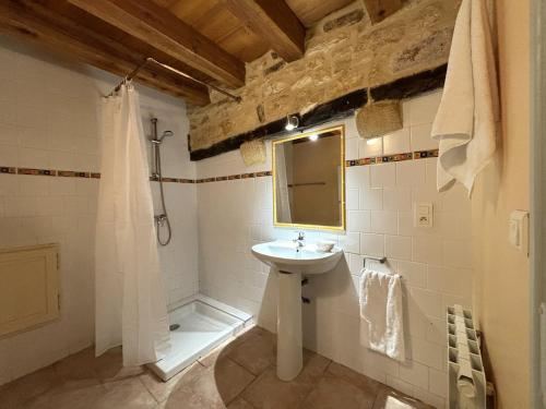 a bathroom with a sink and a shower and a mirror at Le Secret de St Cyprien in Saint-Cyprien