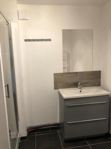 une salle de bain avec un lavabo et un miroir dans l'établissement Belle Appartement avec jardin clos à 10 minutes de la plage, à Neufchâtel-Hardelot