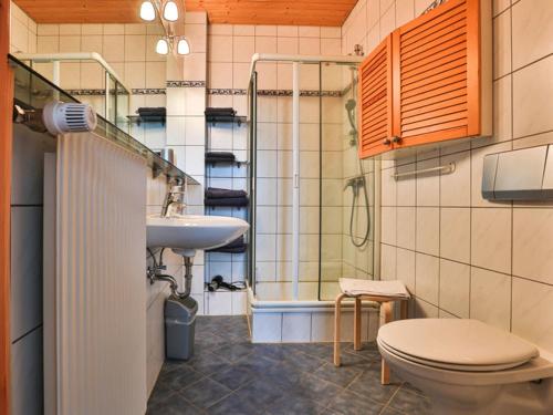 een badkamer met toilet, wastafel en douche bij Hof Wiesentau in Bösdorf