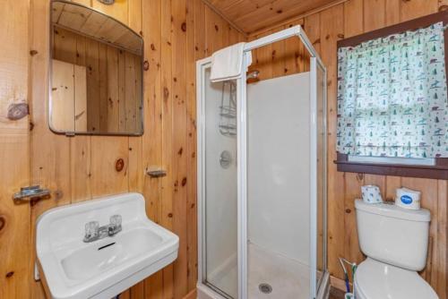 une salle de bains avec toilettes, lavabo et douche dans l'établissement TB6 Thunder Bay Resort Cabin 6, à Phelps