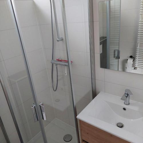 a bathroom with a shower and a sink at De Dopheide | 4 persons in Gasselte