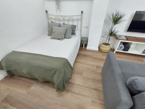 New Apartment Plaza del Cedro