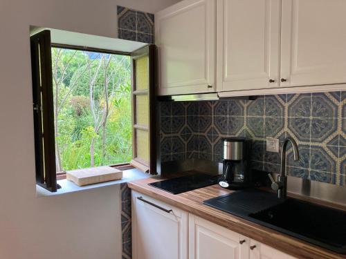 a kitchen with a sink and a window in it at Maison traditionnelle Areosa in Viana do Castelo