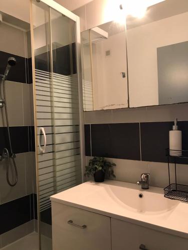 une salle de bain avec un lavabo et une douche dans l'établissement City and Nature, à Aleçon