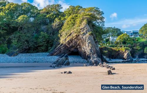 a group of seals sitting on a beach at Little Mead in Amroth