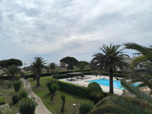 un complexe avec piscine et palmiers dans l'établissement St Cyprien studio cabine avec terrasse et piscine, à Saint-Cyprien