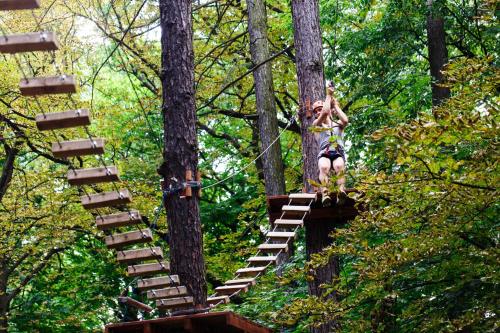 a person on a rope swing in the forest at Casa Ladina 2 in Falera