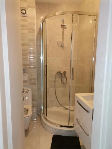 a bathroom with a shower and a toilet at Apartman Neda in Vodice