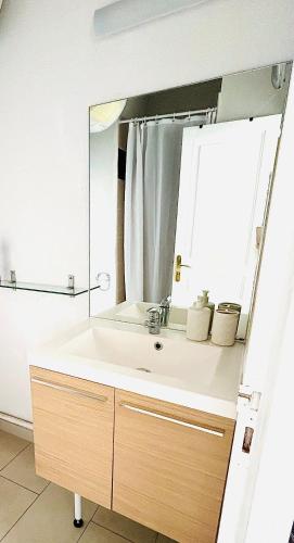 une salle de bain avec un lavabo et un miroir dans l'établissement Résidence LES CALANQUES route des sanguinaires- Piscine - Parking & Wifi Gratuit - Plage, à Ajaccio