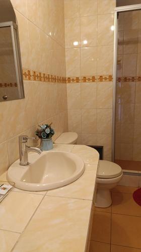 a bathroom with a sink and a toilet at kuntur inn hotel in Puno