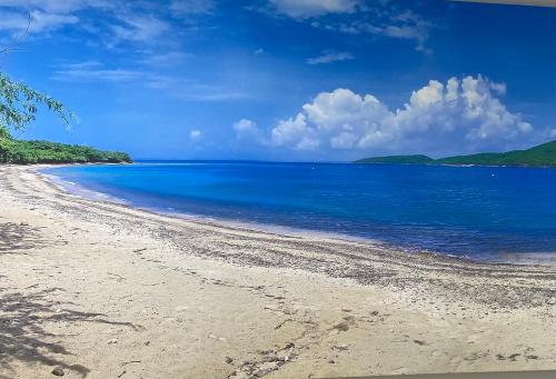 a view of a beach with blue water at apt bonker in Culebra
