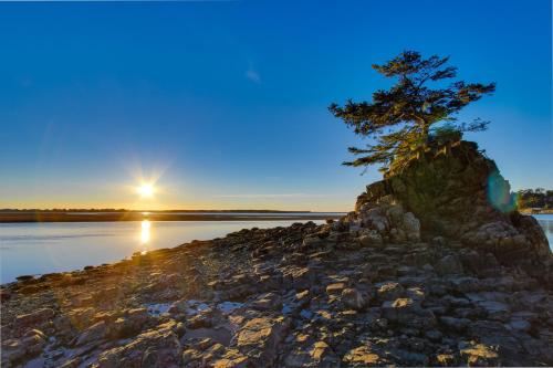 a tree on the shore of a lake at sunset at Soaring High in Lincoln City