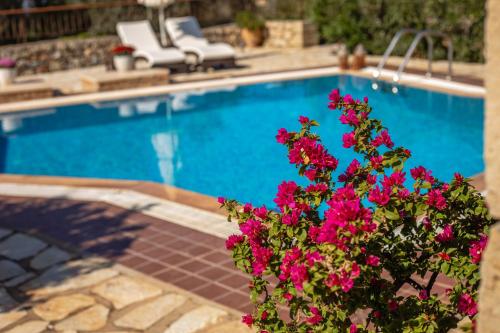 Kolam renang di atau dekat dengan Olympia Villas