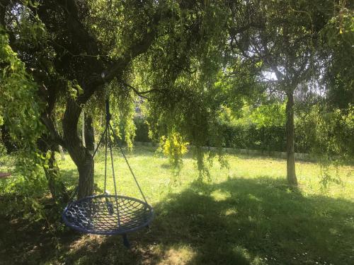 a swing hanging from a tree in a yard at LA VILLA BOLERO in Saint-Cyr-sur-Loire