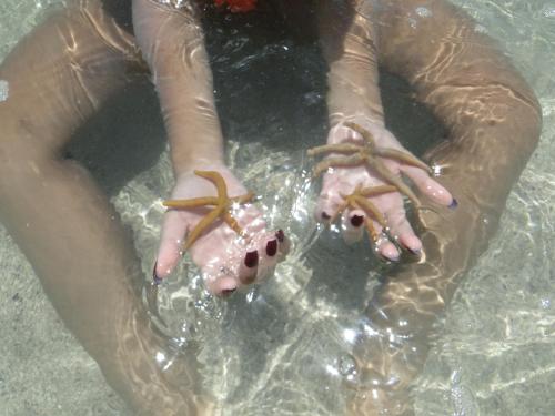 a person in the water with crabs on their hands at Hotel Pousada Arco Iris in Barra de Santo Antônio