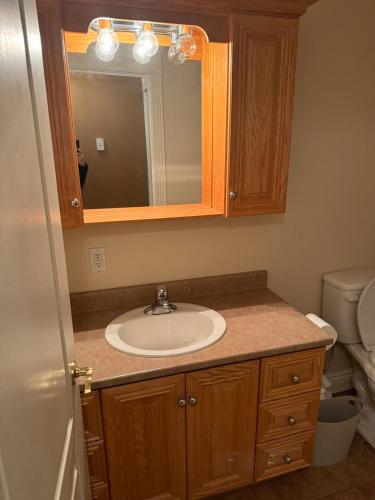 a bathroom with a sink and a mirror at Riverside Pool Chalet ! in Clarkes Beach