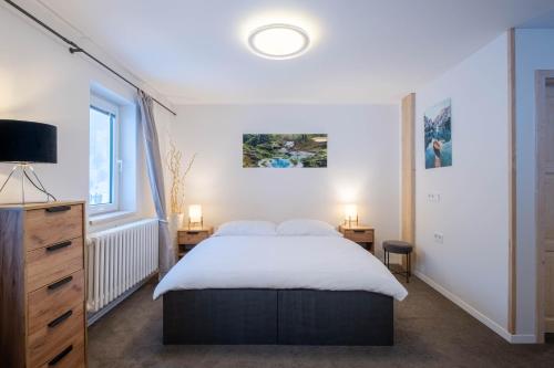 a bedroom with a large bed and a tv at CHATA LESOVNA in Pec pod Sněžkou