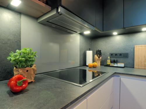 Dapur atau dapur kecil di "Dat Nordische Huus" - Hyggelige Ferienwohnung, Balkon, Glasfaser-Internet, Wallbox