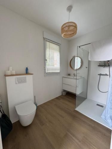 La salle de bains blanche est pourvue de toilettes et d'un miroir. dans l'établissement Villa Ker Jean, à Brignogan-Plage