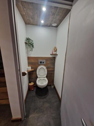 une salle de bain avec toilettes dans une chambre dans l'établissement L'Escouflette, à Rochesson