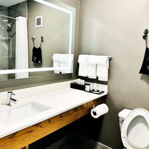 a bathroom with a sink and a mirror and a toilet at Silver Beach Hotel in Saint Joseph