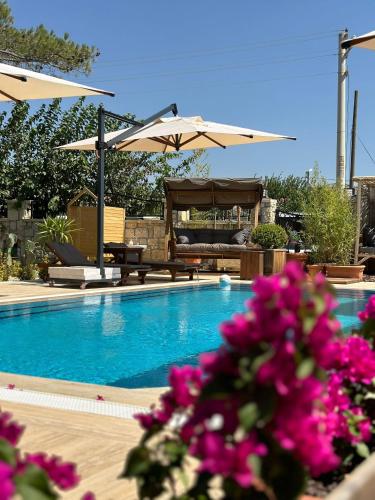 a swimming pool with some pink flowers and umbrellas at Villa Seferis in Seferihisar