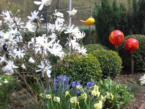 a garden with white flowers and red balloons at Amstadt's Birkenfels in Bad Herrenalb