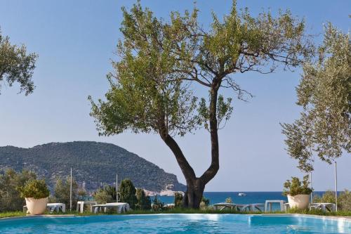 Φυσικό τοπίο κοντά σε αυτό το ξενοδοχείο διαμερισμάτων