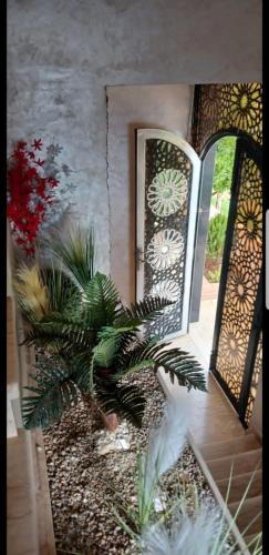 a view of a patio with a door and a plant at Villa Sarghini in Sidi Bouzguia