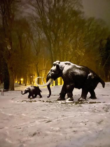 an elephant and a baby elephant walking in the snow at MoryńApartments in Moryń