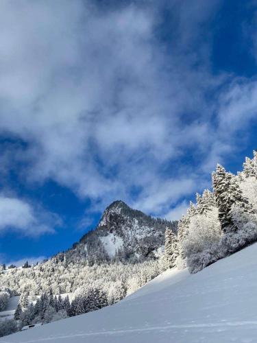 a mountain covered in snow with trees in the background at Appartement 4 personnes avec parking in Vionnaz
