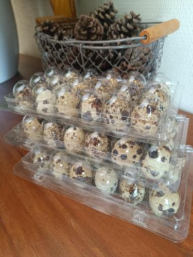 a display of muffins in plastic containers on a table at Chambres d'hotes du Port Gautier in Vouvray-sur-Loir