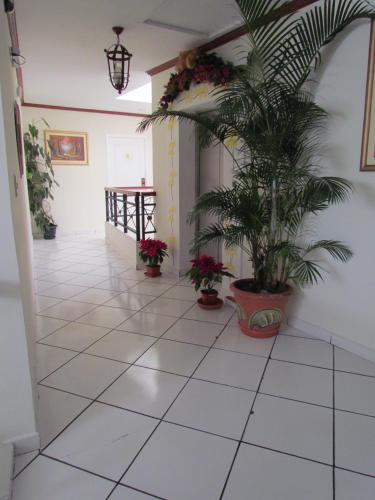 Foto dalla galleria di Hotel Villa Serena San Benito a San Salvador