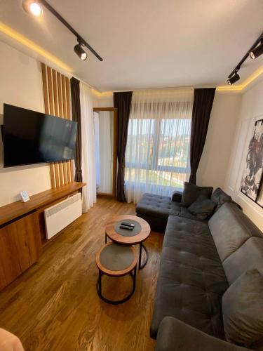 a living room with a couch and a flat screen tv at Magnet 12 in Zlatibor