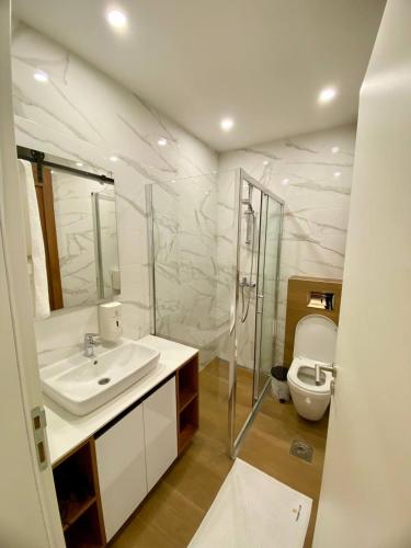 a bathroom with a sink and a toilet at Magnet 12 in Zlatibor