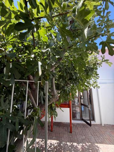 En have udenfor The White House - Zonnebloem