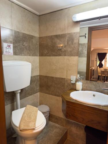 a bathroom with a toilet and a sink and a mirror at Evilion Ktima Argyropoulou in Katarrákhion